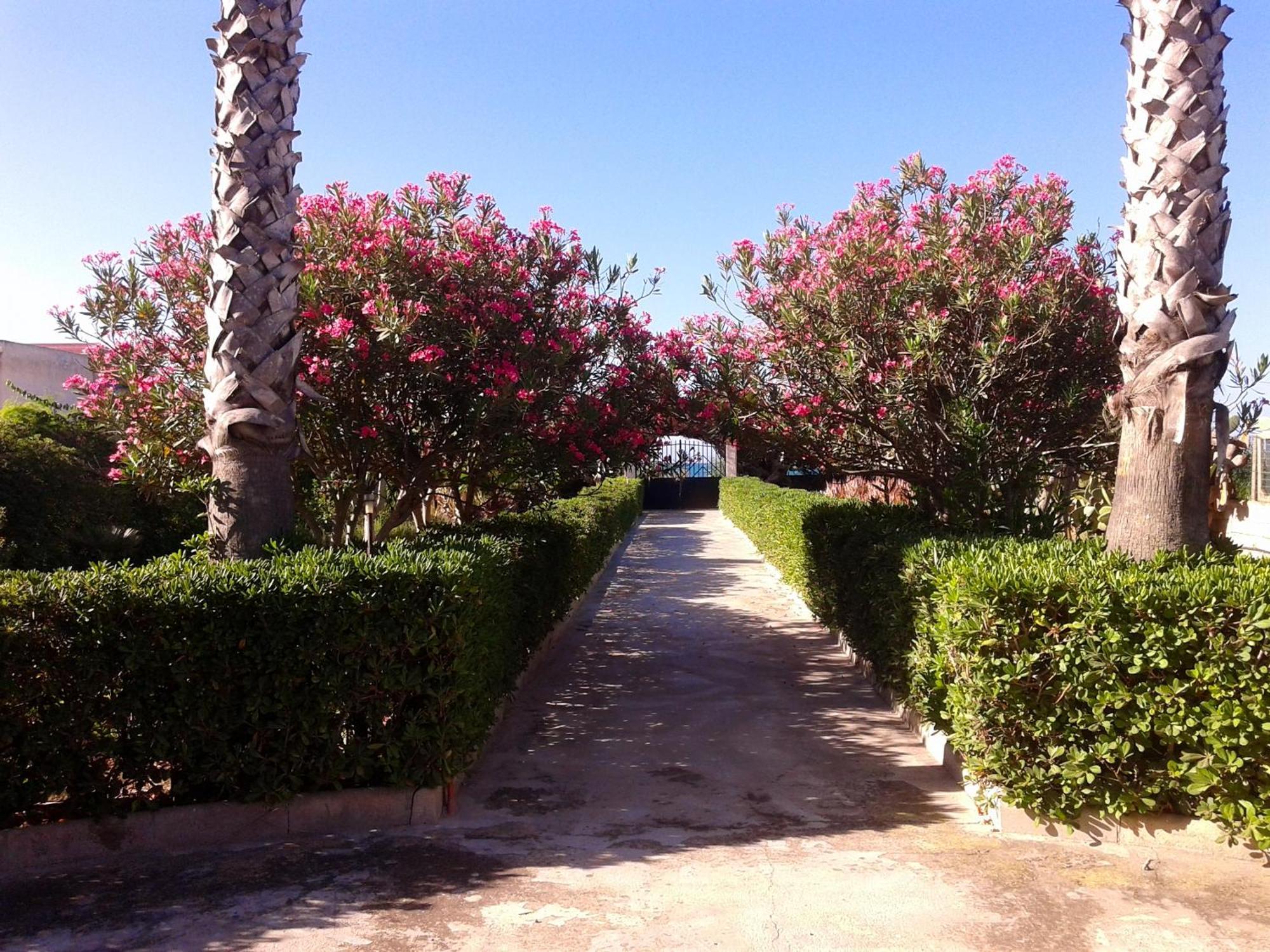 Spacious House With Sea View In Pachino Capacity 9 Persヴィラ エクステリア 写真