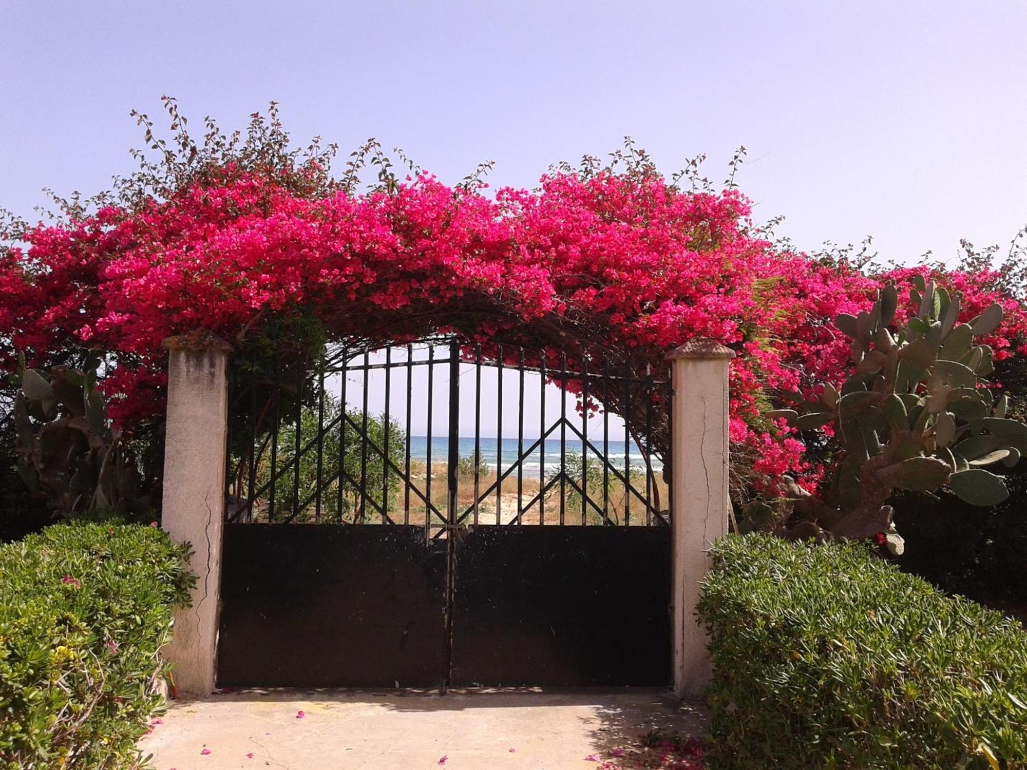 Spacious House With Sea View In Pachino Capacity 9 Persヴィラ エクステリア 写真